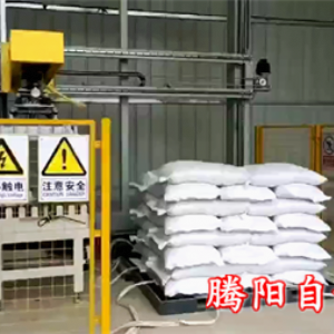 淀粉碼垛機針對產品特性對碼垛機進行相關研發調試