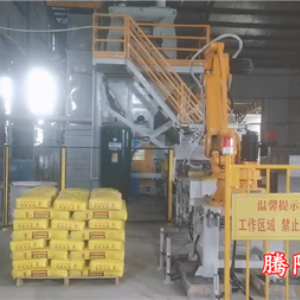 水泥砂漿雙線雙爪國產碼垛機器人